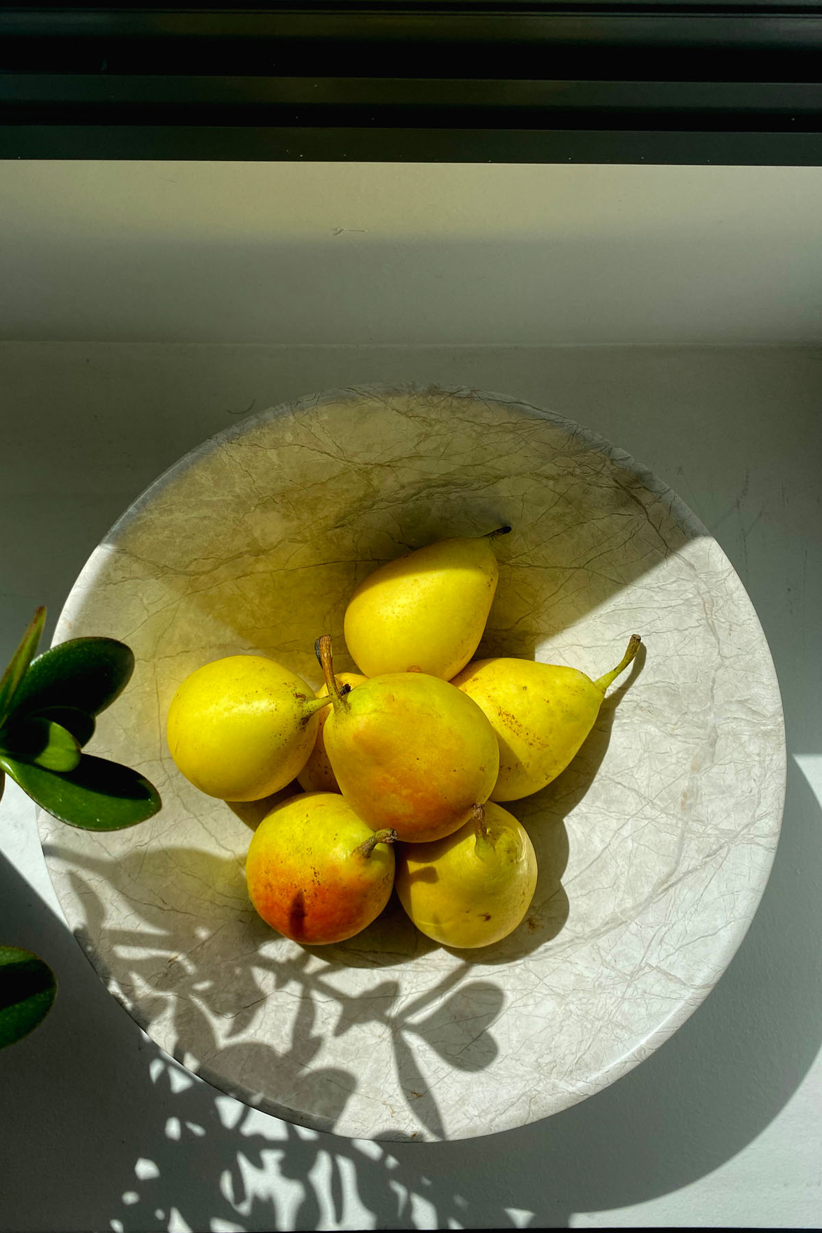 کاسه مخروطی