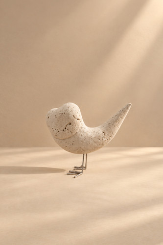 پرنده سنگی نوپا | Y Design Collection
