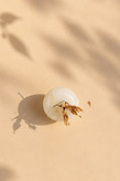 سیب سنگی